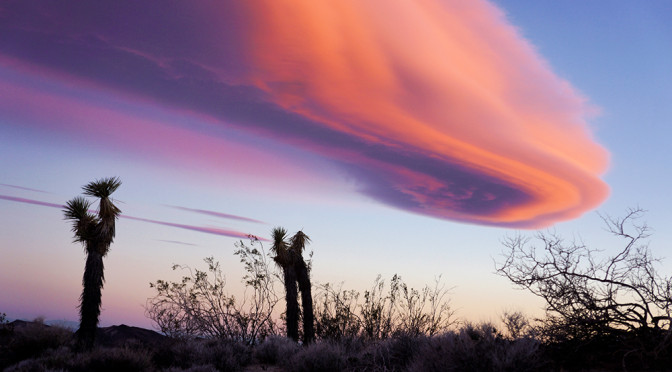 Caught on Tape – Bragging about stealing land in the Mojave